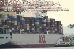 No Trade Retaliation — No War
