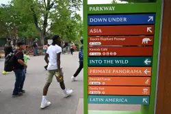 Denver Zoo delays plan for a second entrance; still gathering feedback