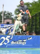 Pups make a splash during big air competition at Libertyville's Dog Days of Summer